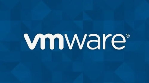 VMware發布vSphere與vSAN應用軟件服務，以集中式基礎架構管理簡化運營