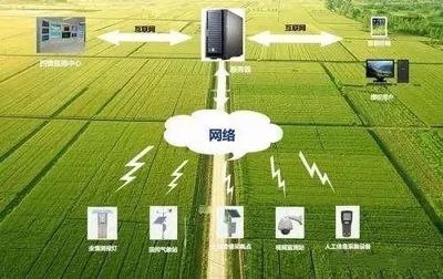 未來農業科技暢想曲 植物工廠、智慧農業與功能食品的技術交響