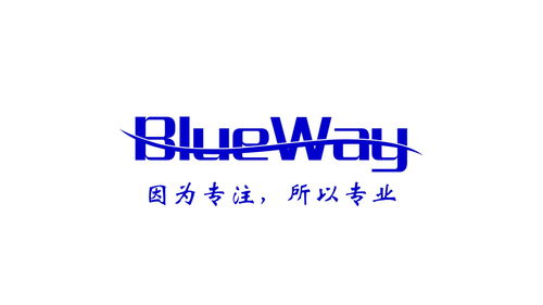 上海藍(lán)微貿(mào)易與微仁網(wǎng)絡(luò) 數(shù)字時(shí)代下貿(mào)易與網(wǎng)絡(luò)服務(wù)的融合探索